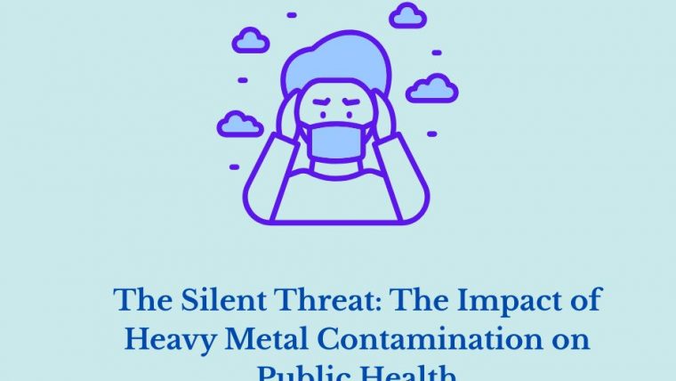 The Silent Threat: The Impact of Heavy Metal Contamination on Public Health