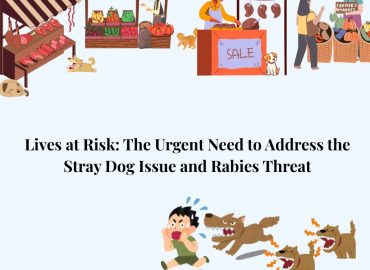 Lives at Risk: The Urgent Need to Address the Stray Dog Issue and Rabies Threat